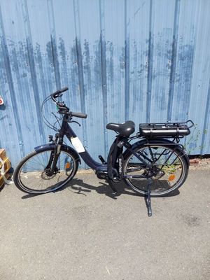 un vélo garé à côté d'une girafe