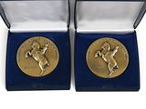 two gold medals in a blue box with a white background