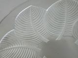 a glass plate with a decorative design on it