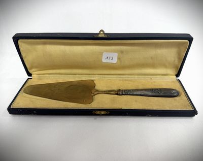 an image of a knife in a case on a white surface