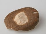 a piece of bread that has been cut in half