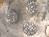 a close up of a silver plate with gold coins on it