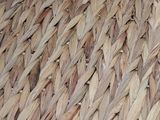 a close up view of a woven rug with a bird on it