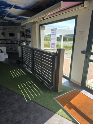 une pièce avec une moquette verte et une grande fenêtre