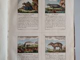 a book with pictures of animals on the pages