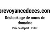 Photo 1/1 du lot