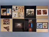 a lot of pictures hanging on the wall together