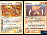 deux cartes Pokémon présentant des motifs différents sur un fond noir
