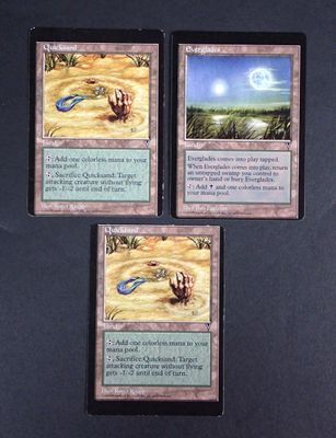 three cards with a picture of a lizard and a fish on them