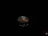 une oplite dans l'obscurité avec un fond noir