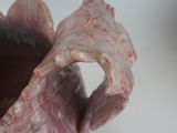 a close up of a piece of meat in a bowl
