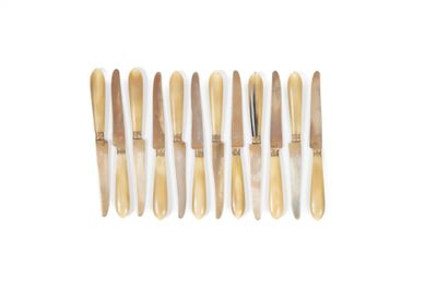 Ménagère comprenant 12 couteaux à fruit la lame en vermeil, le manche  - Photo 1