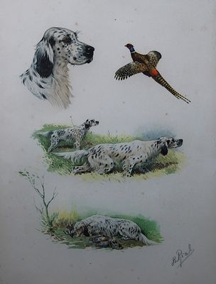 a picture of a picture of a dog and a pheasant