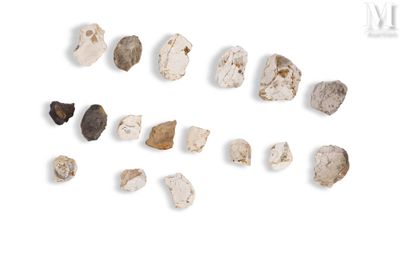 plusieurs morceaux de roche sont disposés en rangée sur une surface blanche