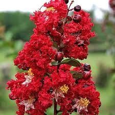 Destockage & Invendus