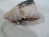 un morceau de poisson posé sur une nappe blanche