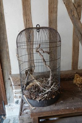 a bird in a cage sitting on a wooden table