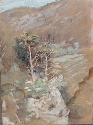 une image représentant un tableau d'un arbre sur une falaise rocheuse