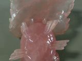 a picture of a pink stone fish on a green surface