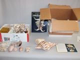une table sur laquelle se trouvent une boîte de coquillages et un livre
