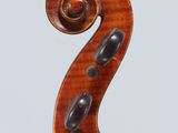 a close up of the back of a violin with a fiddle in the foreground