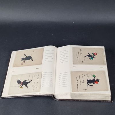 un livre ouvert sur lequel figurent des images de chats et d'oiseaux