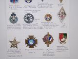 many different military badges displayed on a piece of paper