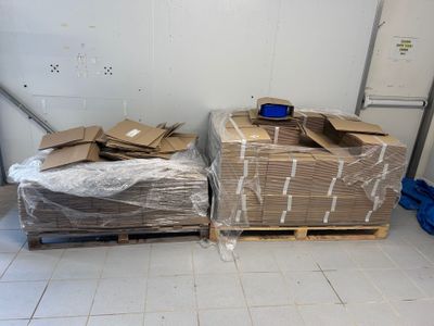 deux palettes de cartons posées sur une palette dans une pièce