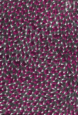 Abie Loy Kemarre (1972 - ) Bush Medicine Leaves - Photo 1