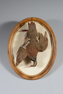 une photo d'un oiseau dans un cadre en bois