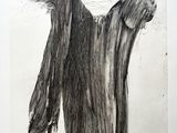dessin représentant un cheval en noir et blanc, à la crinière longue