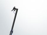 On voit l'image d'un scooter sur fond blanc.