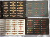several different types of cigars are on display in a book