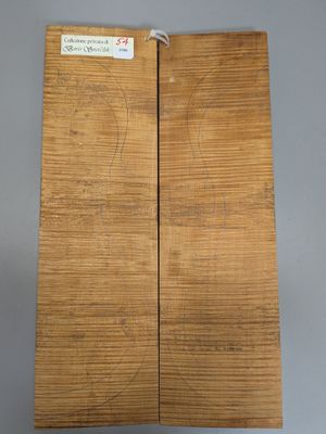 Fond en deux parties en érable pour violon, ~45,5cm