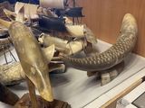 many different types of elephant tusks on the counter