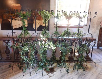 a lot of plants that are sitting on a table