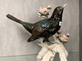 un oiseau noir perché sur une branche d'arbre