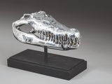 sculpture représentant un crâne de crocodile posé sur un socle, sur fond gris