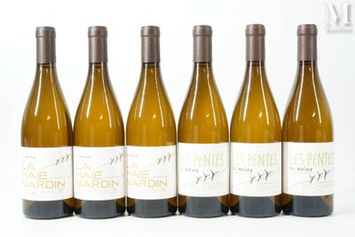six bouteilles de vin sont alignées sur une surface blanche