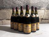 six bottles of wine are lined up in a row against a stone wall