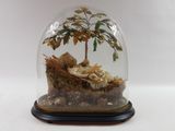a glass dome with a small tree inside of it