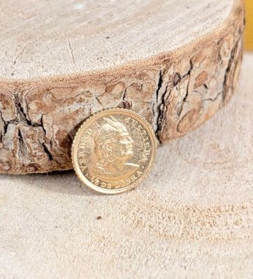 a gold coin sitting on top of a piece of wood