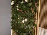 a plant that is growing on the wall next to a bed