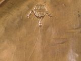 a cat that is laying down on a brass plate