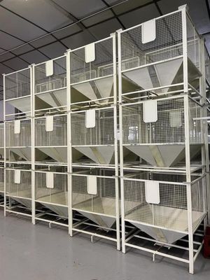 les nombreuses cages qui se trouvent sur les étagères de la pièce