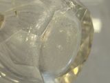 a small fish inside of a clear glass container