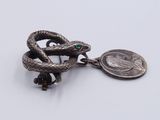 an image of a silver snake with a coin on a white surface