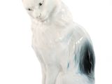 un chat blanc et noir assis sur une surface blanche