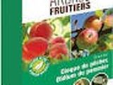 une boîte de pommes et d'autres fruits posée sur une table