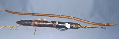 a long wooden stick and a black bottle on a blue surface